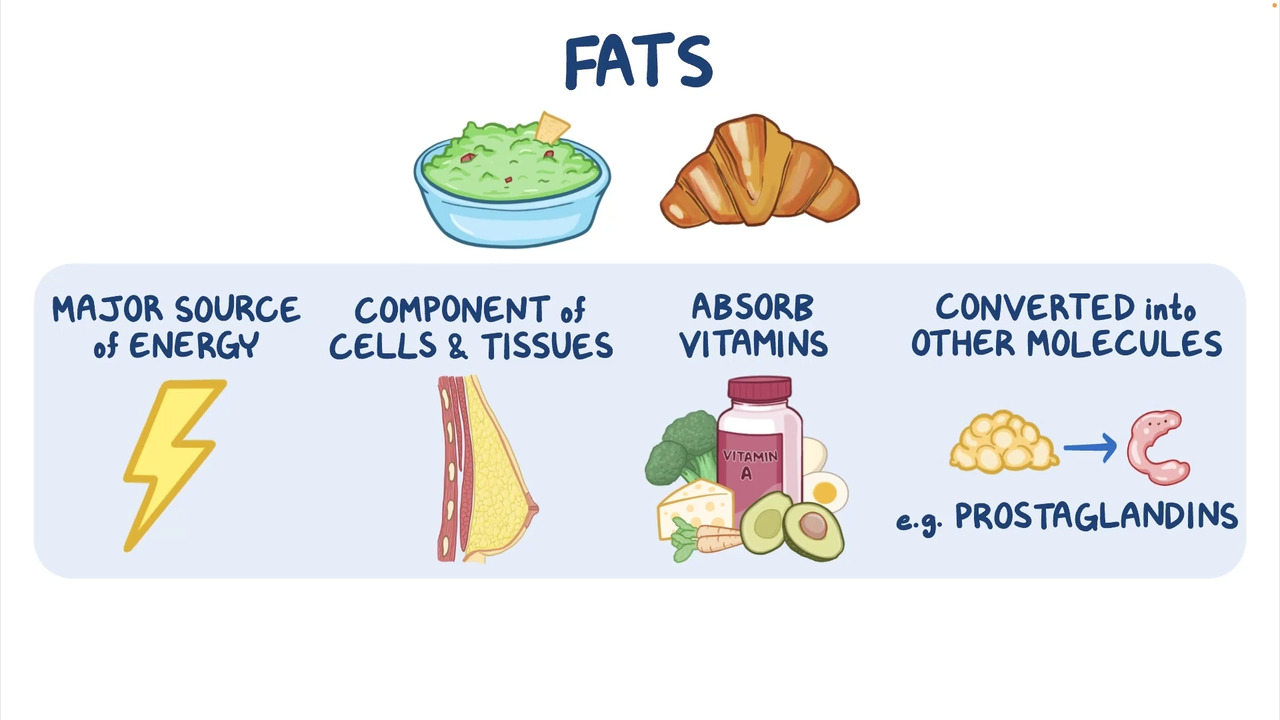Overview of Fats